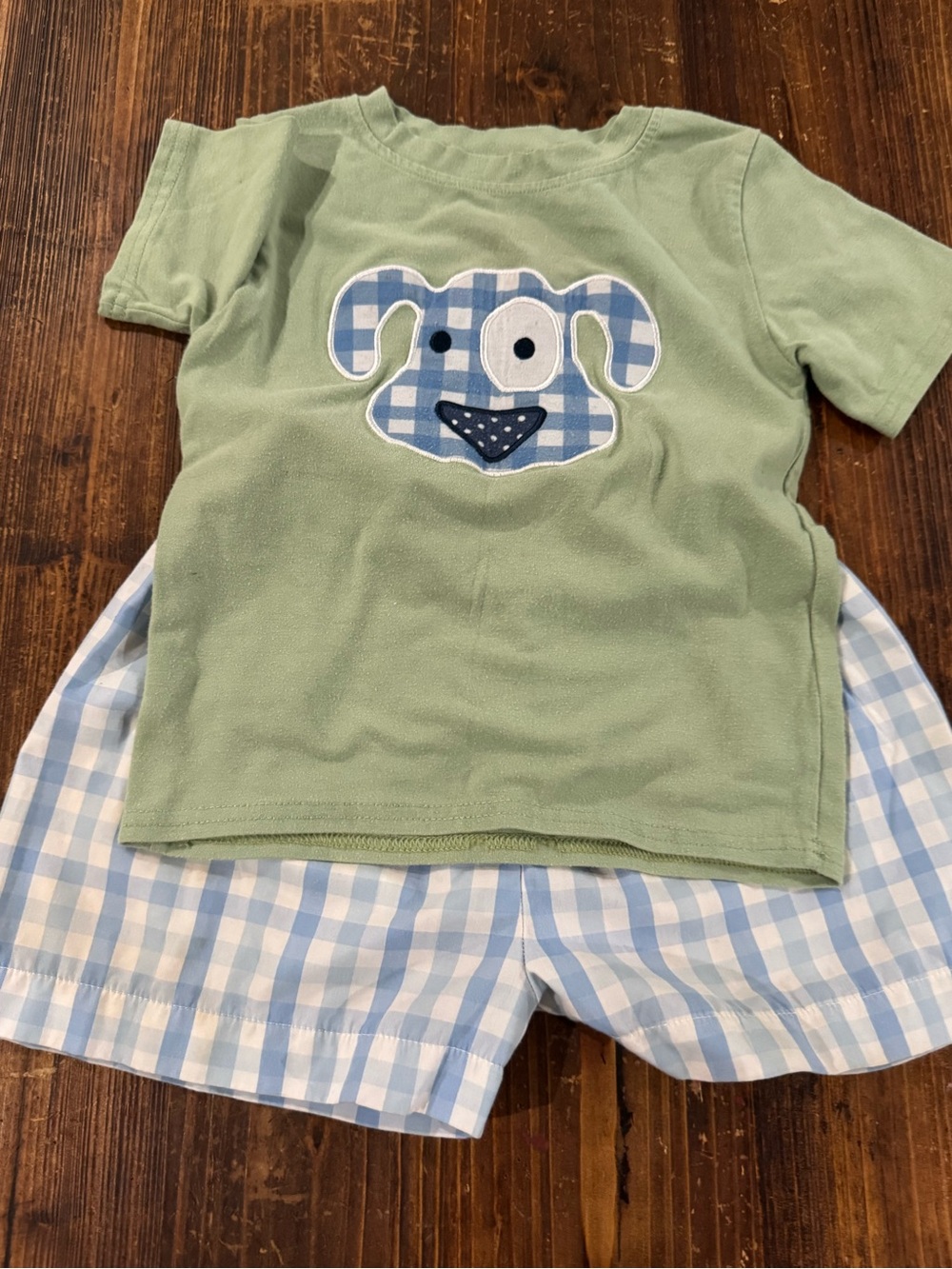 Green Toddler Tee with Blue Gingham Dog Applique & Gingham Shorts